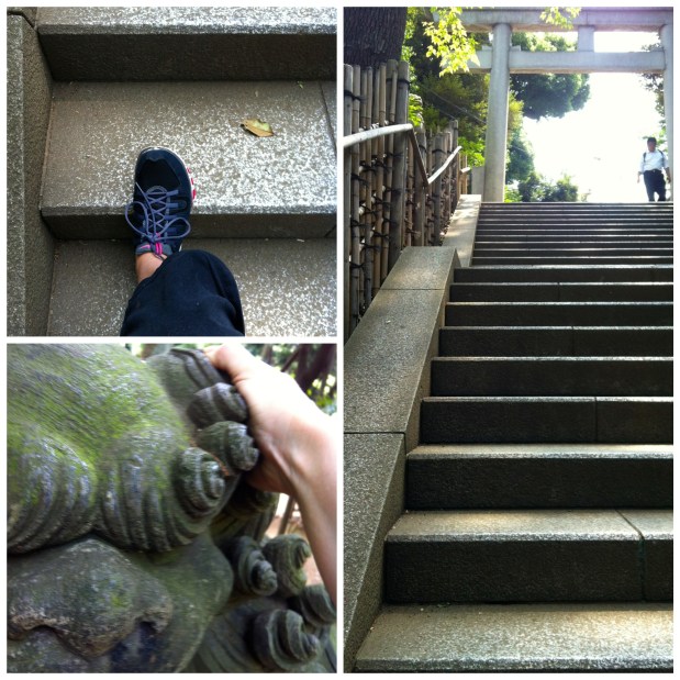A Zen exercise environment...lovely stone stairs to run up and stretch on and lion statues to stretch my shoulders out!