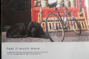 Words of wisdom on writing paper