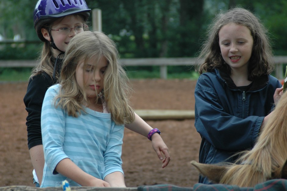 Horseback riding camp